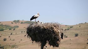 Mazgirt Obuzbaşı Köyü Resimleri 1