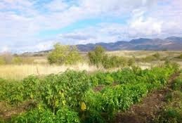 Mazgirt Obuzbaşı Köyü Resimleri 10