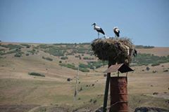 Mazgirt Obuzbaşı Köyü Resimleri 2