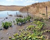 Mazgirt Obuzbaşı Köyü Resimleri 3