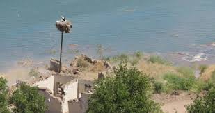 Mazgirt Obuzbaşı Köyü Resimleri 4