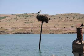 Mazgirt Obuzbaşı Köyü Resimleri 7