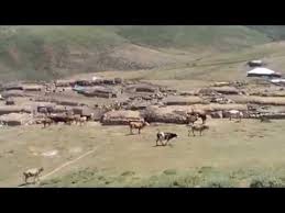 Nazımiye Ayranlı Köyü Resimleri 2