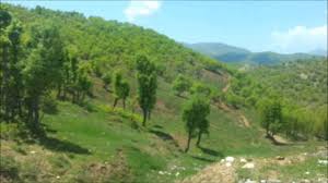 Nazımiye Ayranlı Köyü Resimleri 5