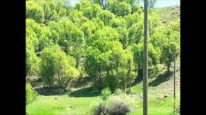 Nazımiye Ayranlı Köyü Resimleri 6