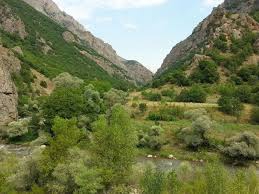 Nazımiye Büyükyurt Köyü Resimleri 12