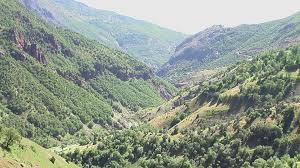 Nazımiye Büyükyurt Köyü Resimleri 14