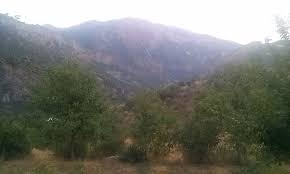 Nazımiye Büyükyurt Köyü Resimleri 5