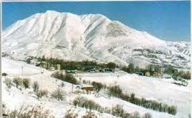 Nazımiye Büyükyurt Köyü Resimleri 8