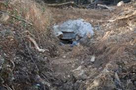 Nazımiye Günlüce Köyü Resimleri 12