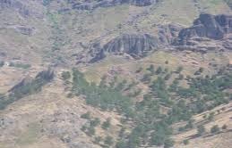 Nazımiye Günlüce Köyü Resimleri 13