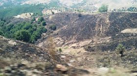 Nazımiye Kılköy Köyü Resimleri 2