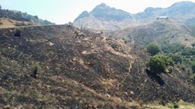 Nazımiye Kılköy Köyü Resimleri 3