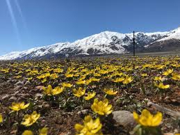 Nazımiye Kılköy Köyü Resimleri 5