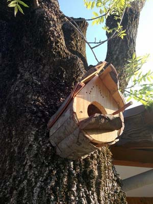 Sakarya Akyazı, Altındere, Kuzuluk Resimleri 17