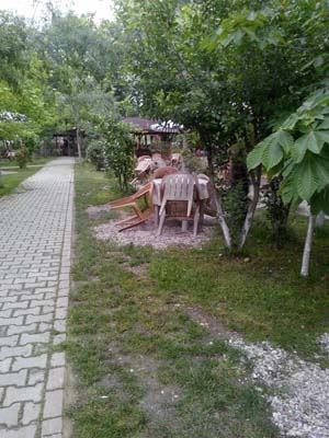 Sakarya Akyazı, Altındere, Kuzuluk Resimleri 18