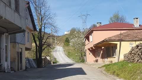 Çatalzeytin Arıca Köyü Resimleri 10