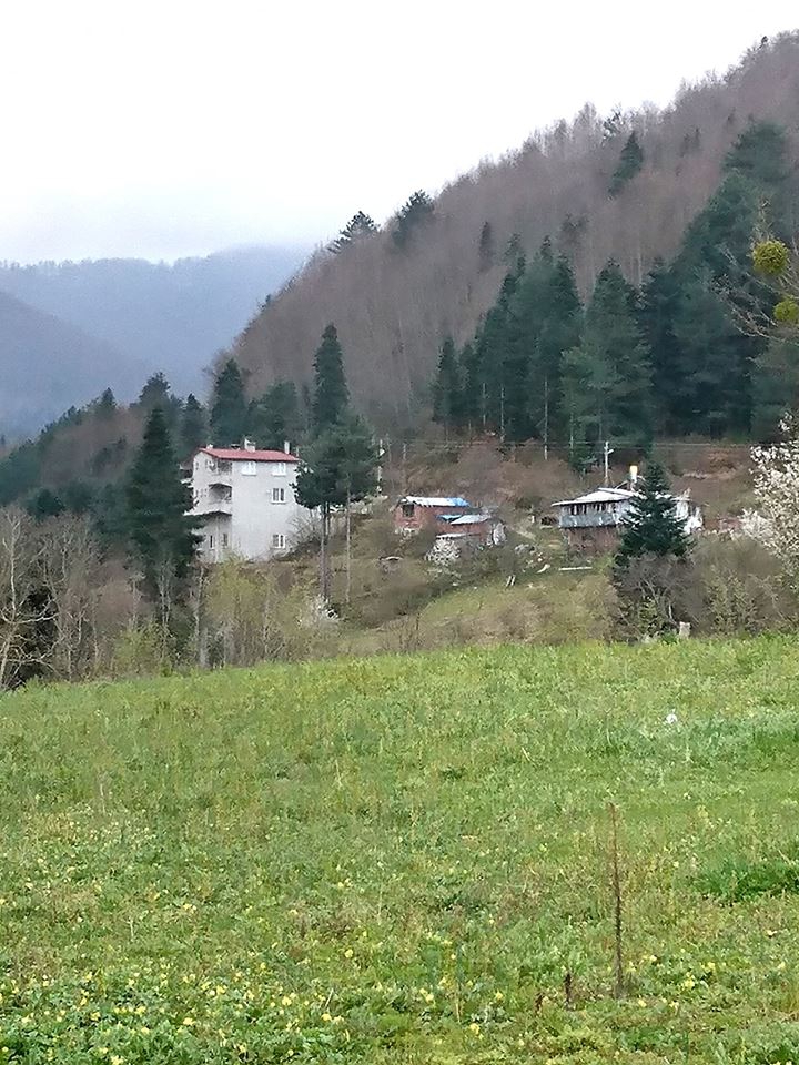 Çatalzeytin Arıca Köyü Resimleri 11