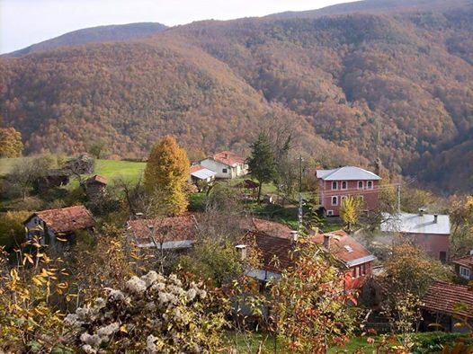 Çatalzeytin Arıca Köyü Resimleri 2