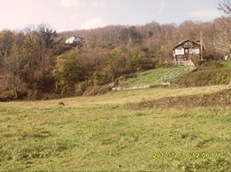 Çatalzeytin Arıca Köyü Resimleri 3