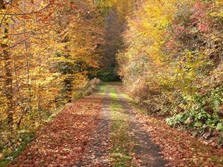 Çatalzeytin Arıca Köyü Resimleri 4
