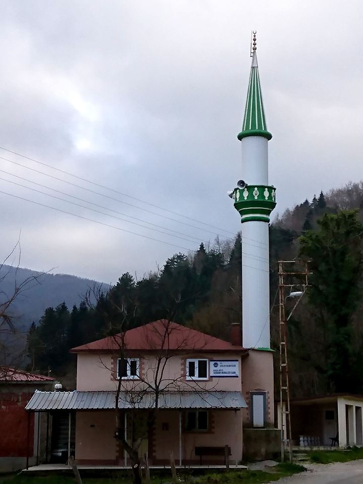 Çatalzeytin Arıca Köyü Resimleri 7