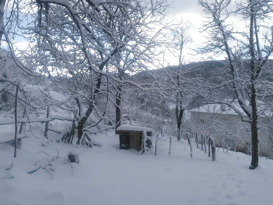 Çatalzeytin Çağlar Köyü Resimleri 7