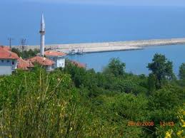 Çatalzeytin Doğanköy Köyü Resimleri 6