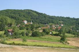 Çatalzeytin Duran Köyü Resimleri 3