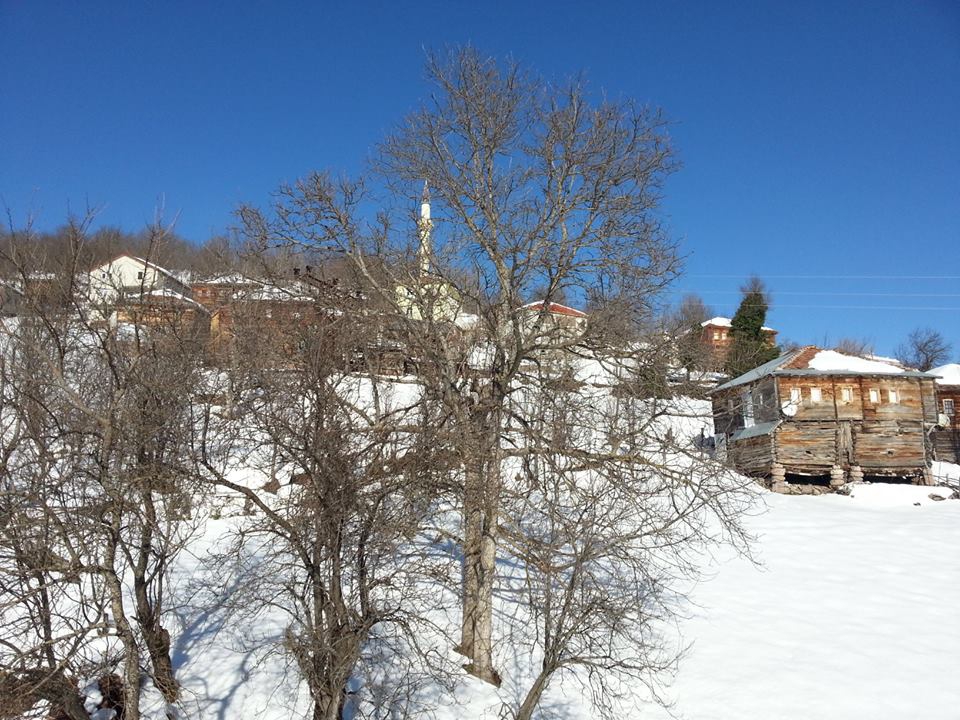 Çatalzeytin Güneşler Köyü Resimleri 10