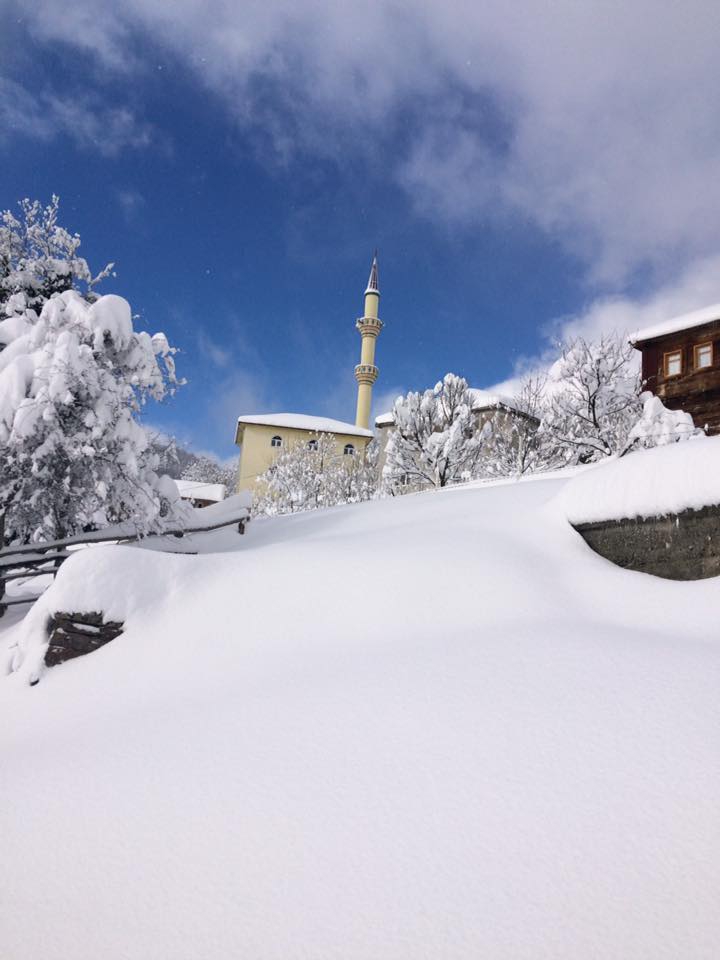 Çatalzeytin Güneşler Köyü Resimleri 8