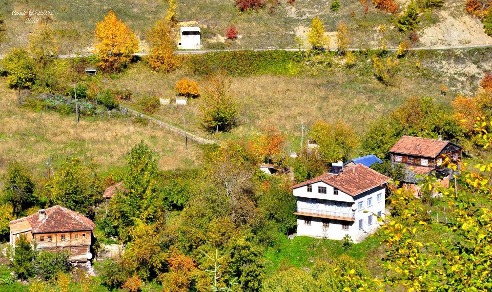 Çatalzeytin Güneşler Köyü Resimleri 9