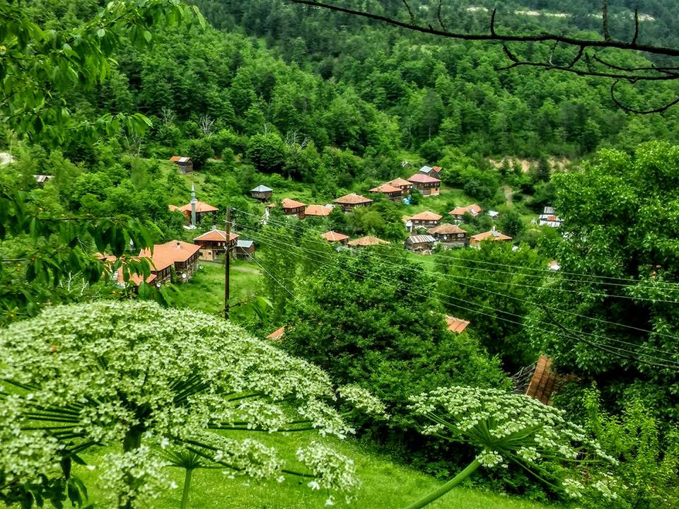 Çatalzeytin Karacakaya Köyü Resimleri 1