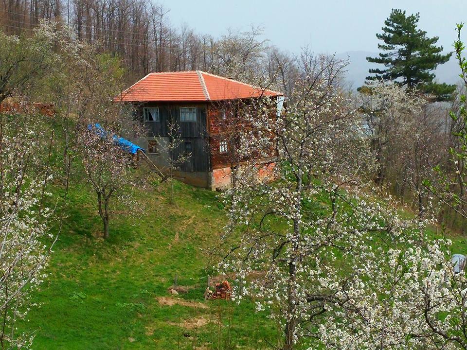 Çatalzeytin Karacakaya Köyü Resimleri 11