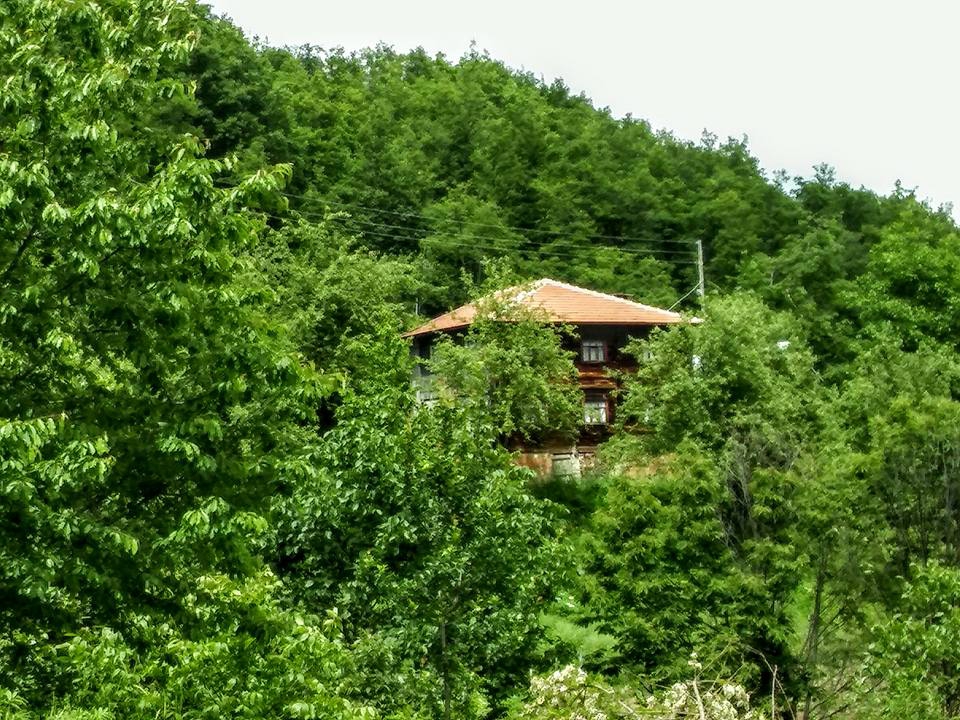 Çatalzeytin Karacakaya Köyü Resimleri 12