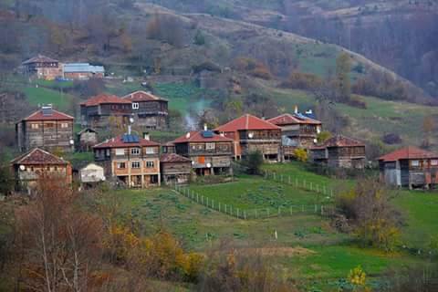 Çatalzeytin Karacakaya Köyü Resimleri 2