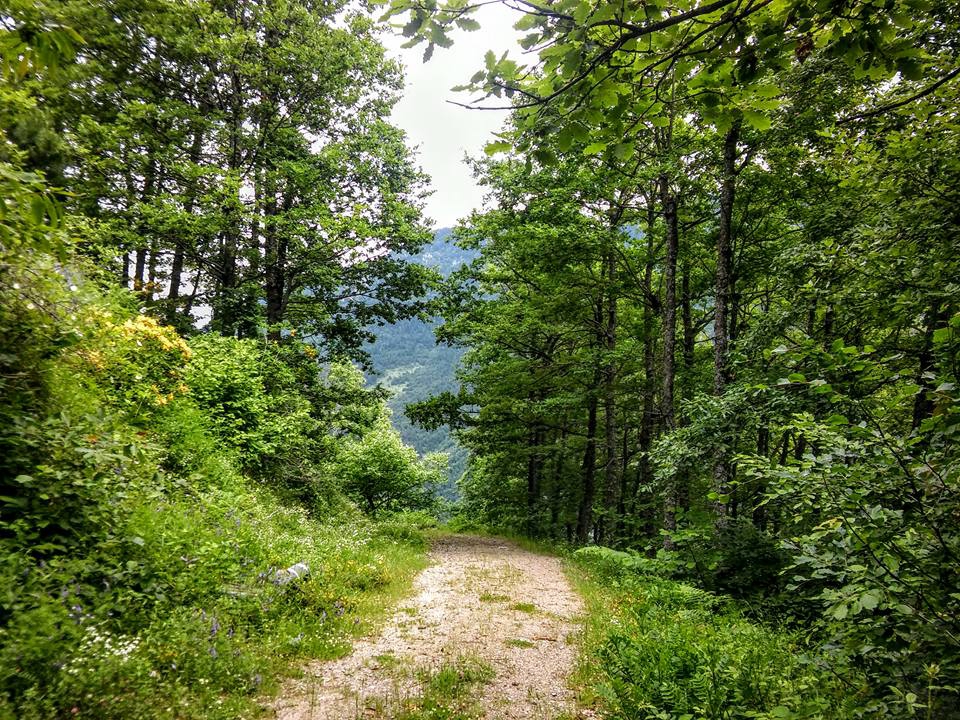 Çatalzeytin Karacakaya Köyü Resimleri 3