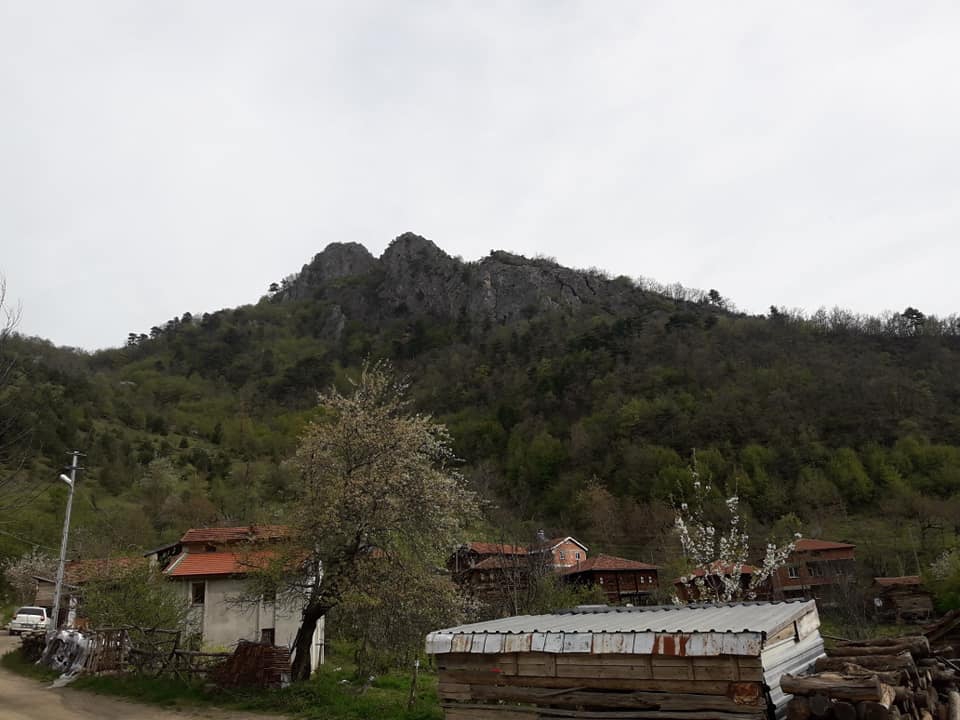 Çatalzeytin Karacakaya Köyü Resimleri 5