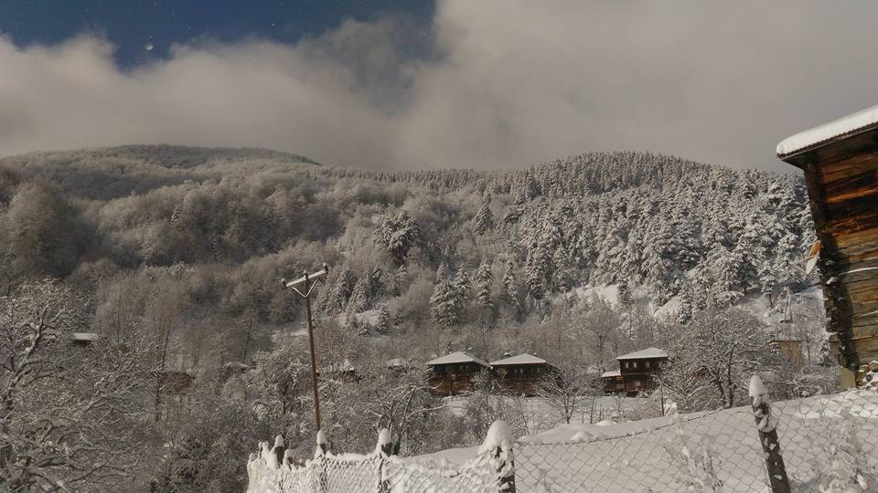 Çatalzeytin Karacakaya Köyü Resimleri 9