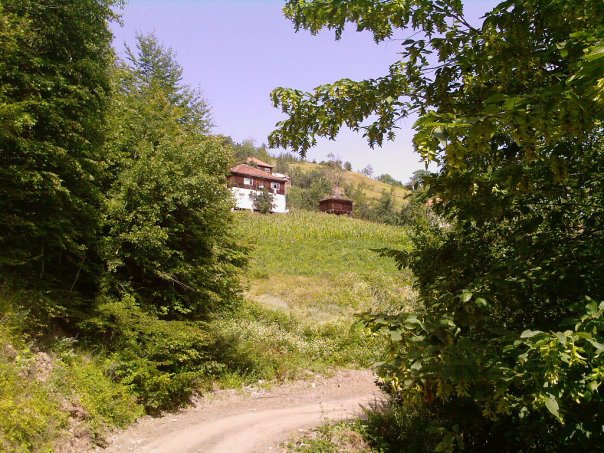 Çatalzeytin Kavaklı Köyü Resimleri 1