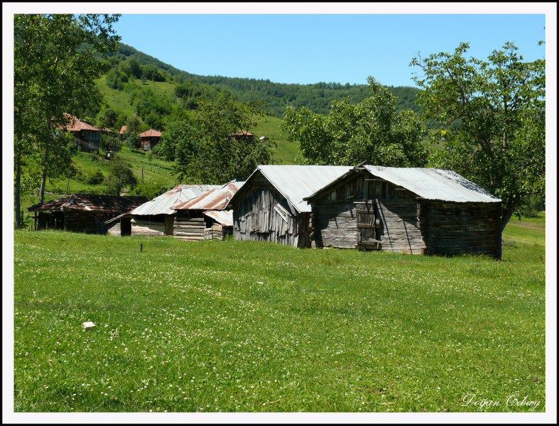 Çatalzeytin Kavaklı Köyü Resimleri 10