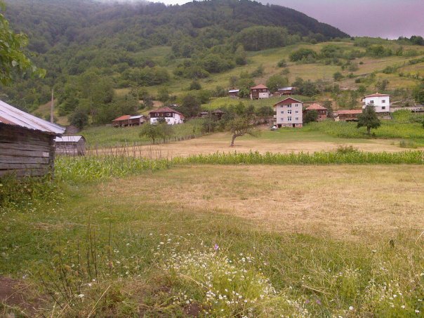 Çatalzeytin Kavaklı Köyü Resimleri 2