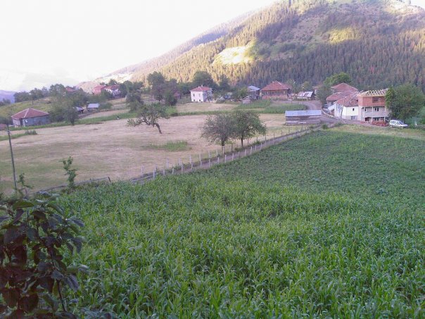 Çatalzeytin Kavaklı Köyü Resimleri 5