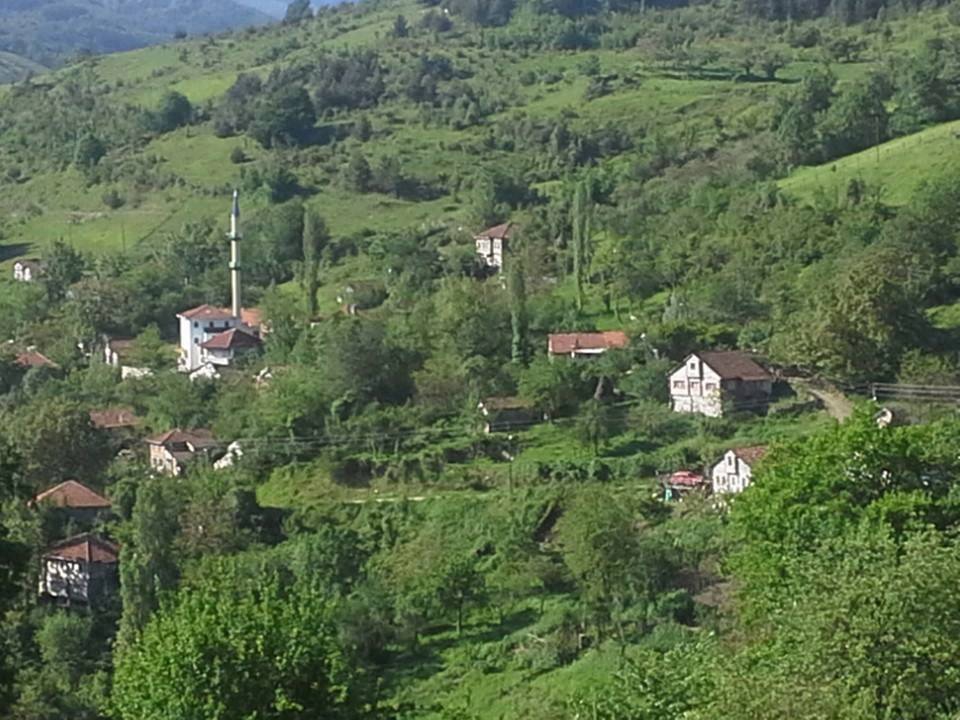 Çatalzeytin Kavakören Köyü Resimleri 10