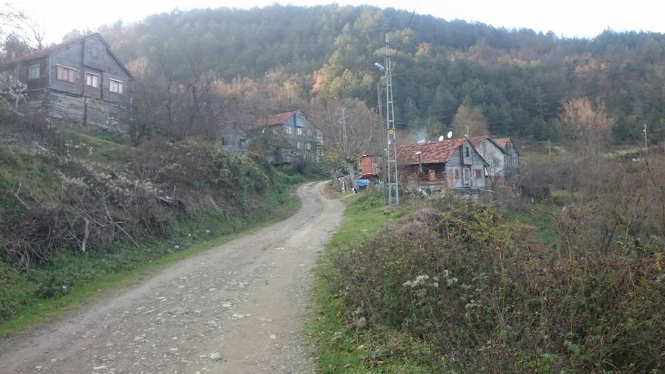 Çatalzeytin Kavakören Köyü Resimleri 7