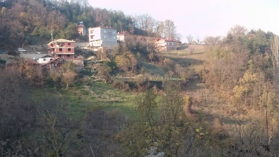 Çatalzeytin Kavakören Köyü Resimleri 9