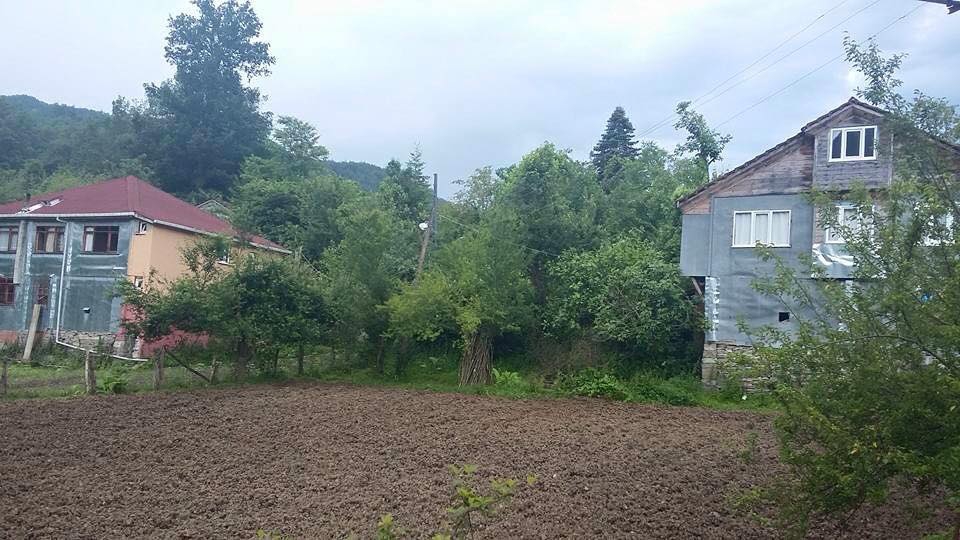 Çatalzeytin Kayadibi Köyü Resimleri 3