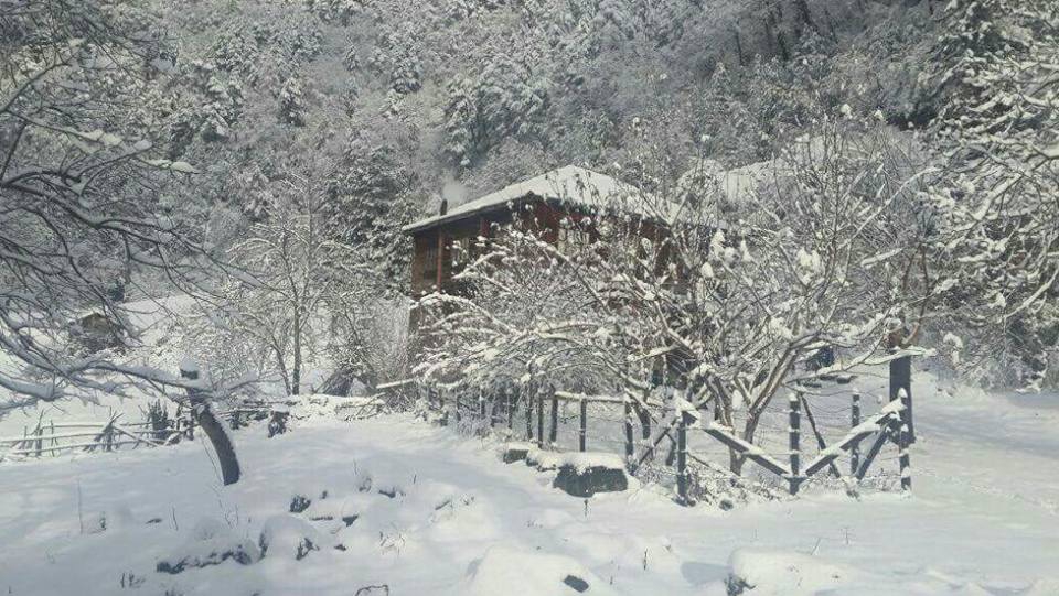 Çatalzeytin Kayadibi Köyü Resimleri 4