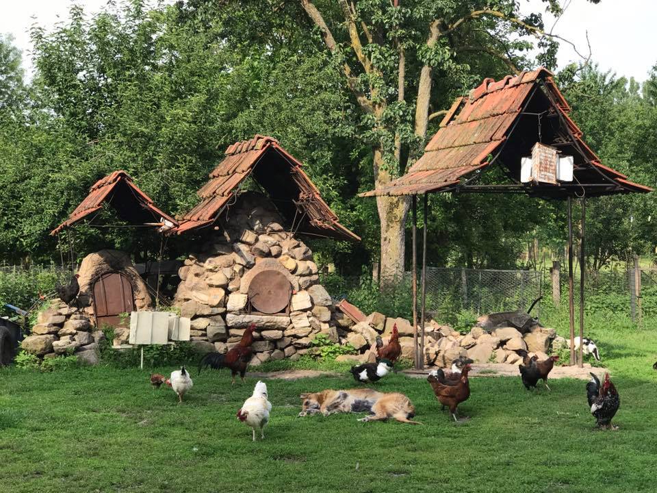 Gölyaka Yeşilova Köyü Resimleri 4