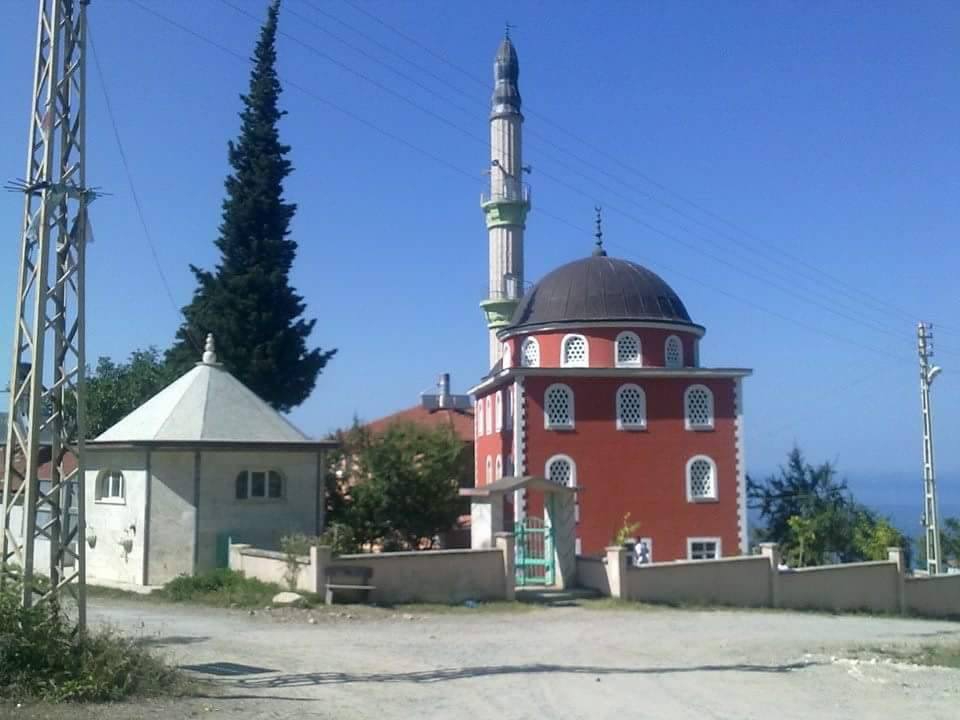 Çatalzeytin Konaklı Köyü Resimleri 11